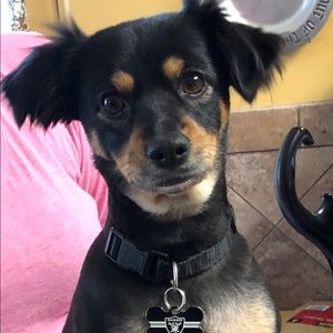 Meet your Posher, Hope